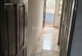 Flatmate Needed For P.O.P Mini Flat
